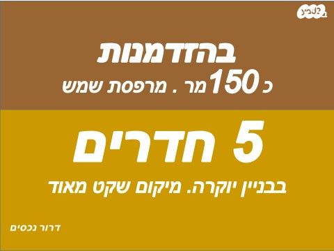 הרב קוק 