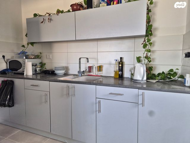 דירה, זלמן שניאור, רמות רמז, חיפה