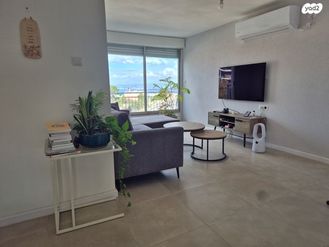 זלמן שניאור 