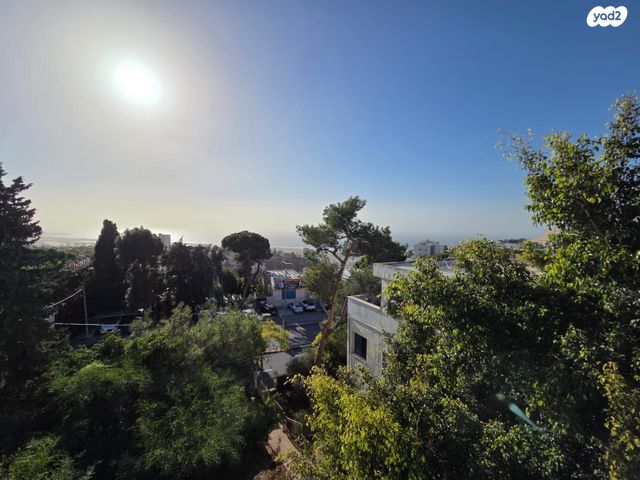 דופלקס, יאנוש קורצ'אק, אחוזה, חיפה