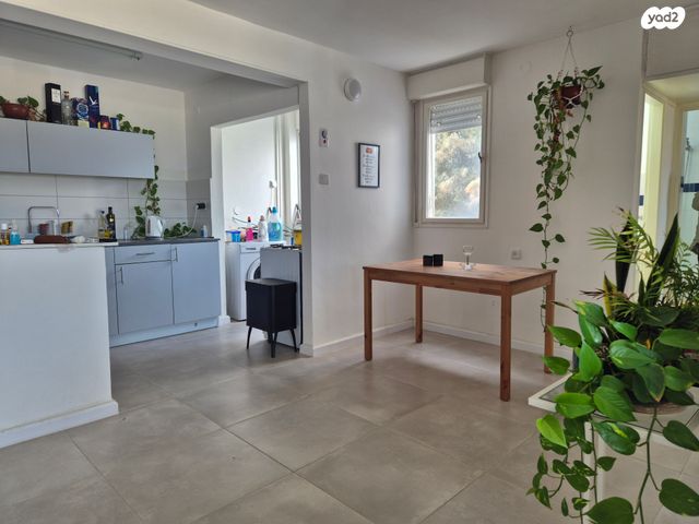 דירה, זלמן שניאור, רמות רמז, חיפה