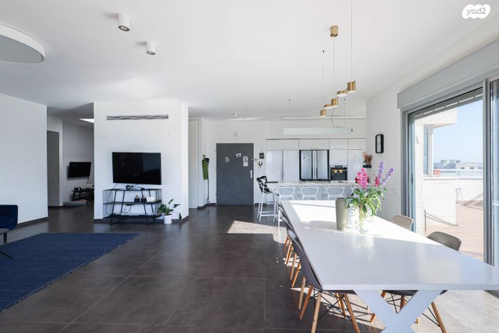 גג/ פנטהאוז, רמת אמיר, קדימה צורן