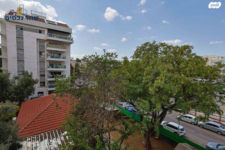 דירה, ויצמן, מרכז, כפר סבא