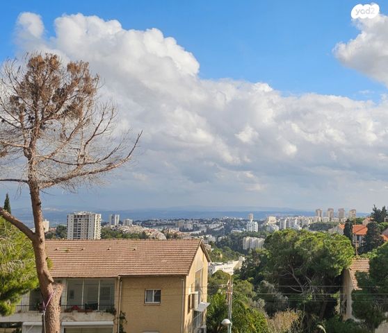 דירה, שמבור, חיפה