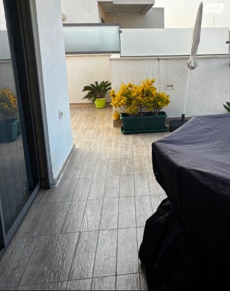 אירוס הארגמן 