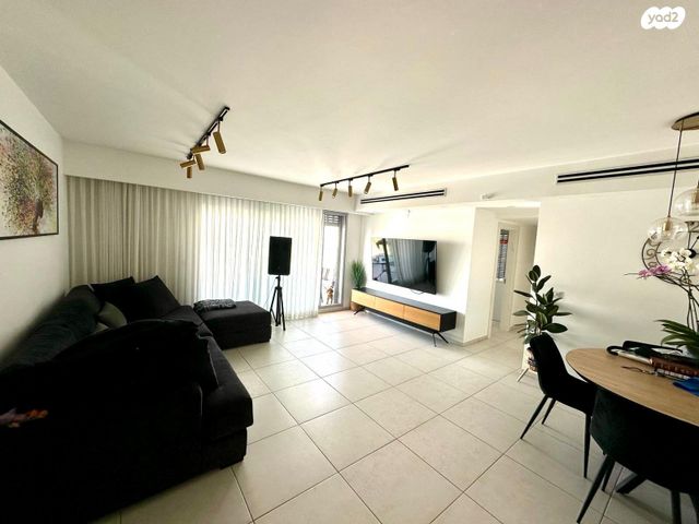 דירה, השחף, החותרים, טירת כרמל