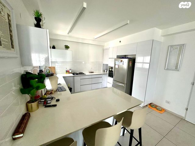 דירה, השחף, החותרים, טירת כרמל