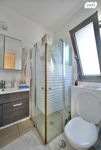 דירה, ארגמן, נס ציונה