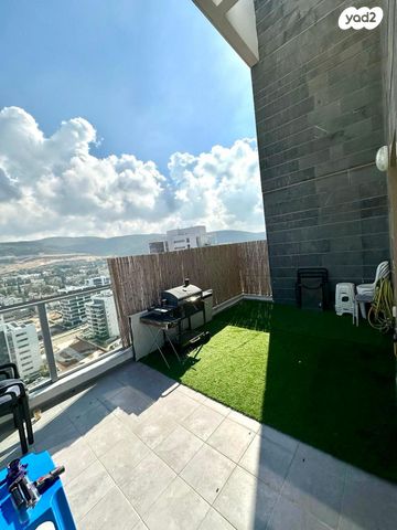 דירה, השחף, החותרים, טירת כרמל