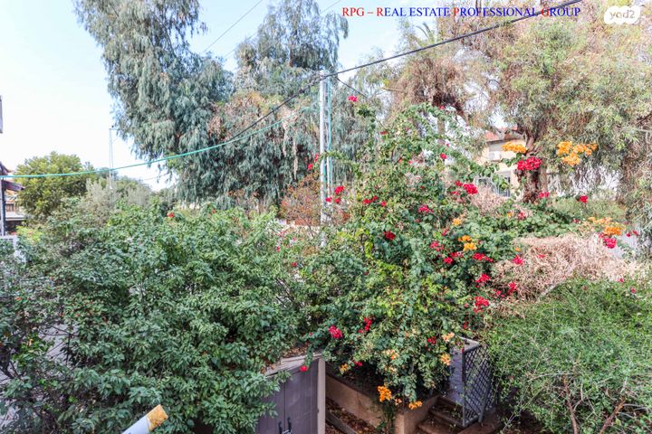 דופלקס, דוד מרכוס, רמת החייל, תל אביב יפו