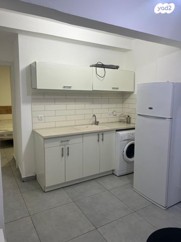 דוד וולפסון 