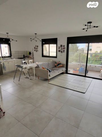 אלכסנדר ינאי 