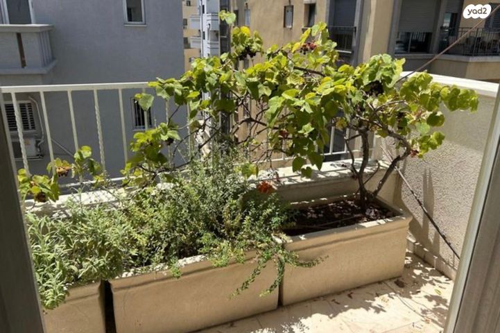 דירה, ברנר 6, לב תל אביב, לב העיר צפון, תל אביב יפו