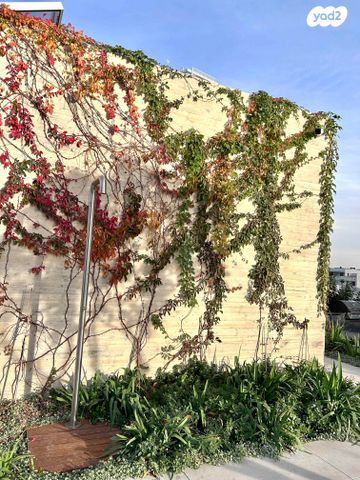 דירה, אחד העם 13, לב תל אביב, לב העיר צפון, תל אביב יפו