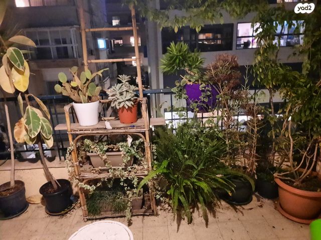 דירה, הירקון, הצפון הישן - צפון, תל אביב יפו