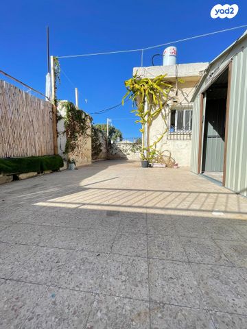 שמעון התרסי 