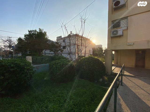 דירה, המלך יהואש, נווה דוד, חיפה