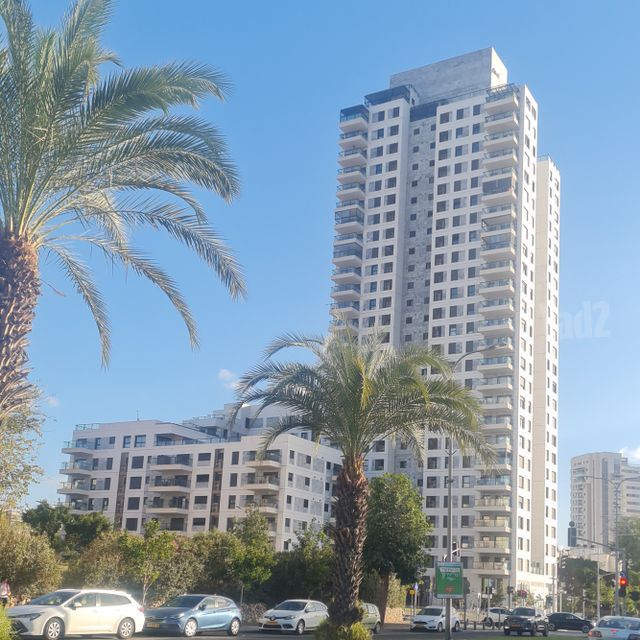דרך משה דיין 