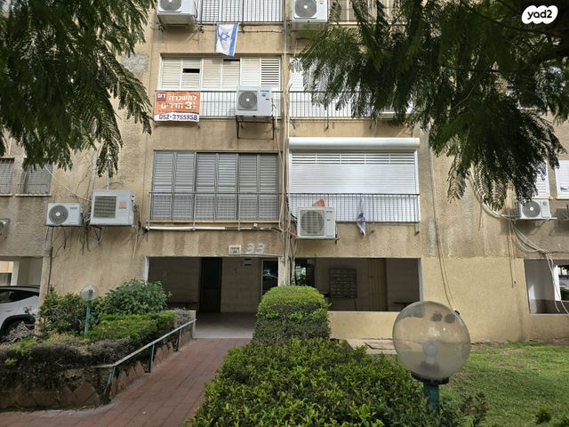 דירה, אנילביץ', חולון