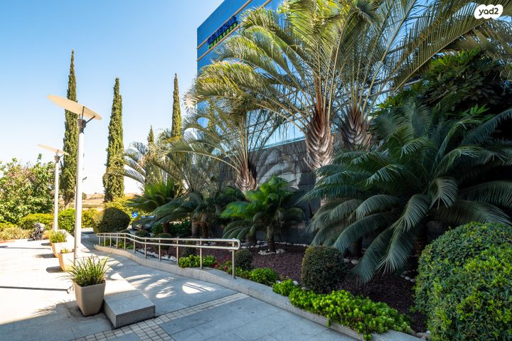 משרדים, מאיר אריאל, שאר העיר, נתניה