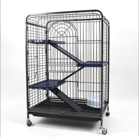 תמונת מודעה - חיות מחמד