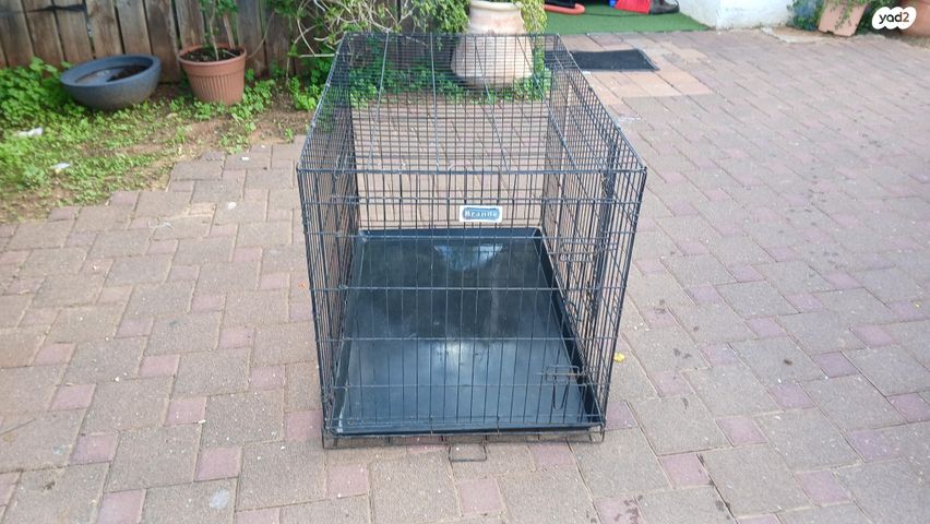 תמונת מודעה - חיות מחמד