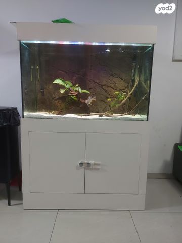 תמונת מודעה - חיות מחמד