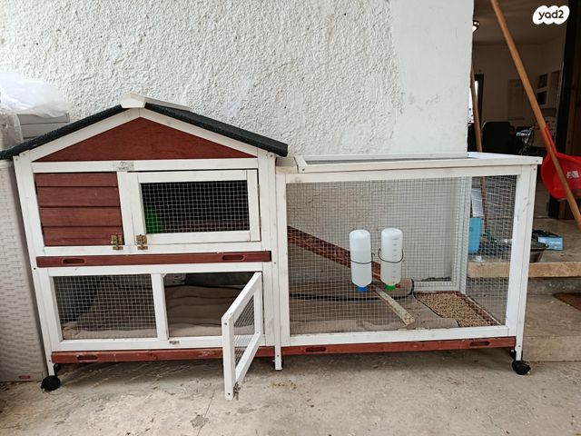 תמונת מודעה - חיות מחמד