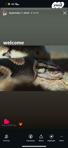 תמונת מודעה - חיות מחמד