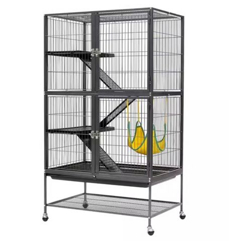 תמונת מודעה - חיות מחמד