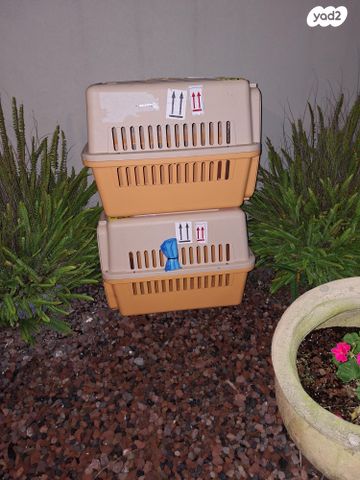 תמונת מודעה - חיות מחמד