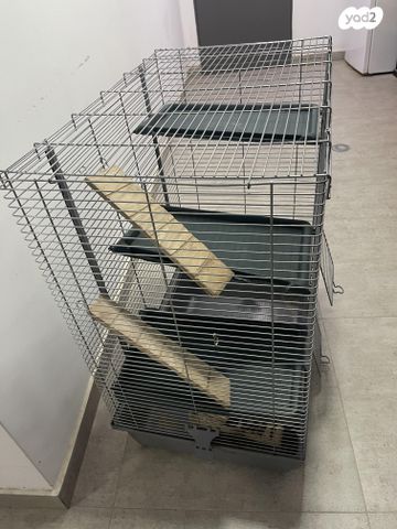 תמונת מודעה - חיות מחמד