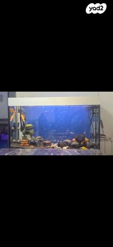 תמונת מודעה - חיות מחמד