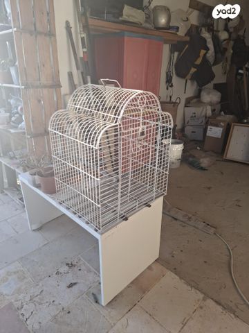 תמונת מודעה - חיות מחמד