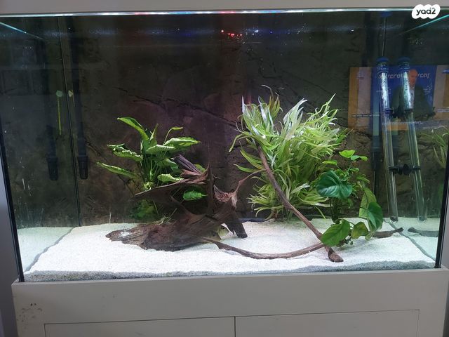 אביזרים | אקווריום