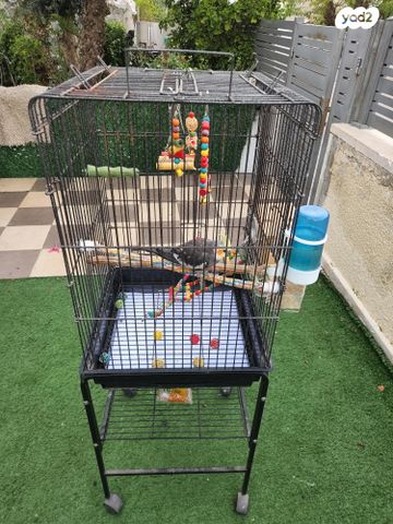 אביזרים | כלוב