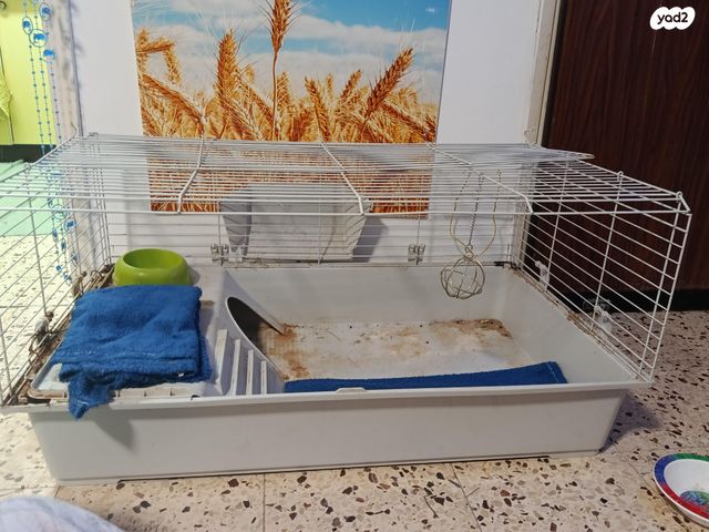 אביזרים | כלוב