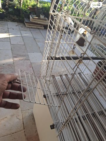 אביזרים | כלוב