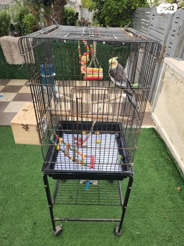 אביזרים | כלוב