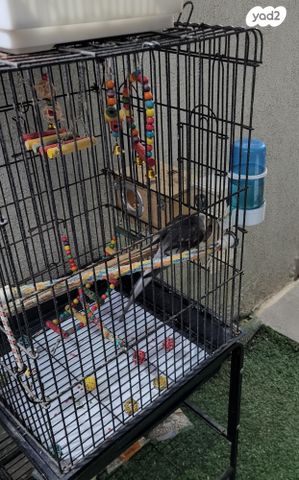 אביזרים | כלוב