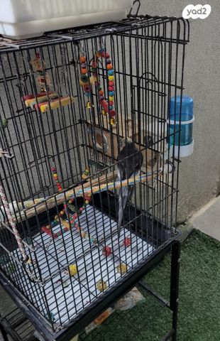 אביזרים | כלוב