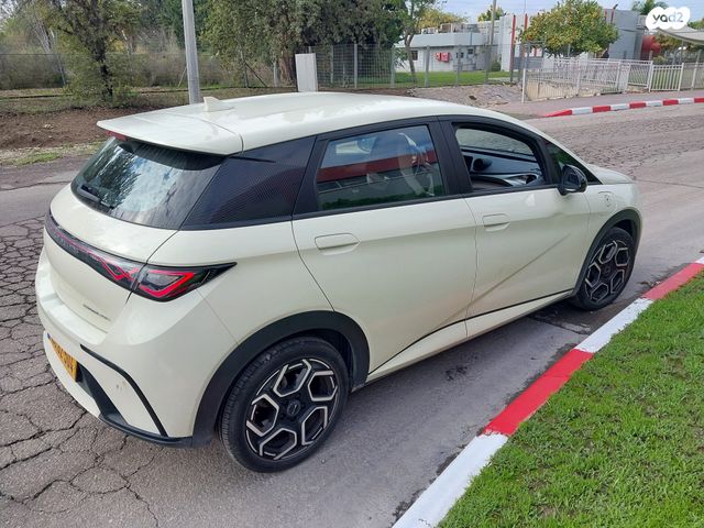 בי.ווי.די דולפין