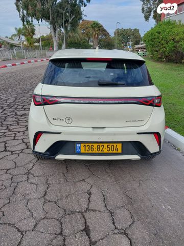 בי.ווי.די דולפין