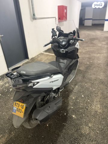 סאן יאנג קרוזים 300 אלפא