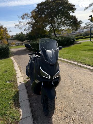 סאן יאנג ג'וי-מקס Z-300