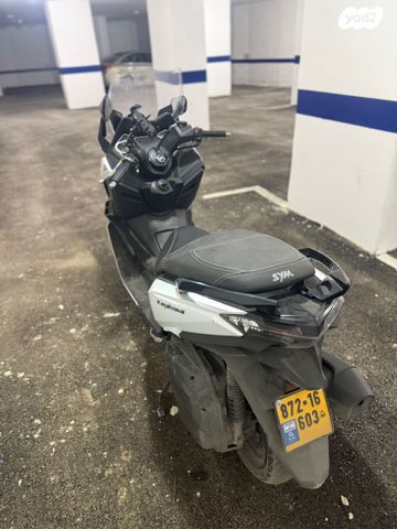 סאן יאנג קרוזים 300 אלפא