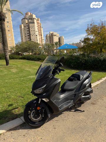 סאן יאנג ג'וי-מקס Z-300