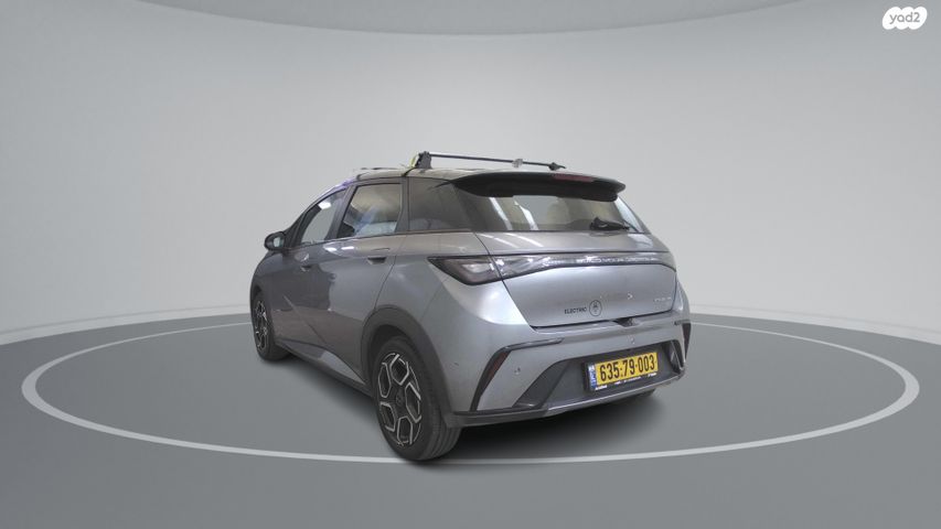 בי.ווי.די דולפין