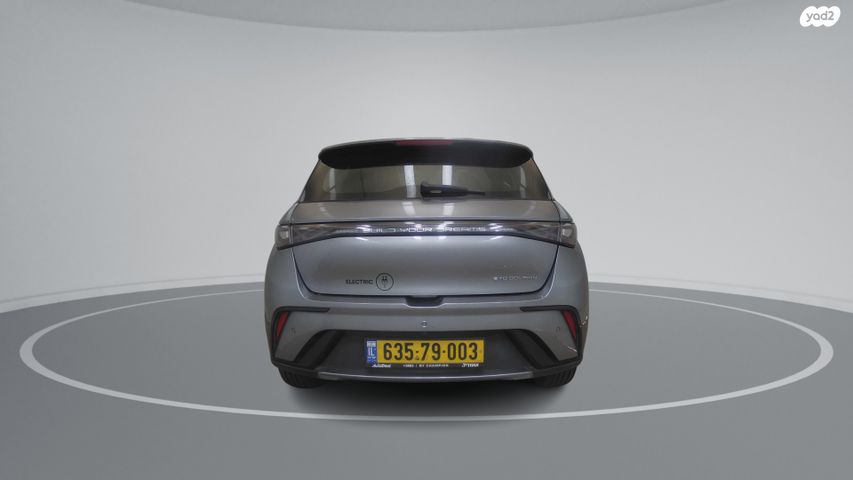 בי.ווי.די דולפין