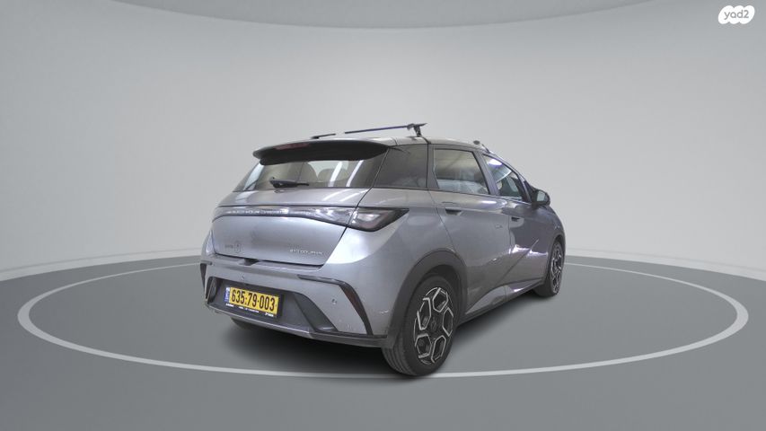 בי.ווי.די דולפין